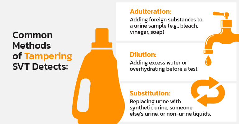 Common Methods of Tampering That Specimen Validity Testing Detects
