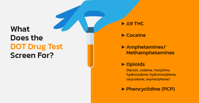 dot pre employment drug test